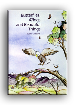 Sand Dollar Butterflies, Wings and Beautiful Things Children Book